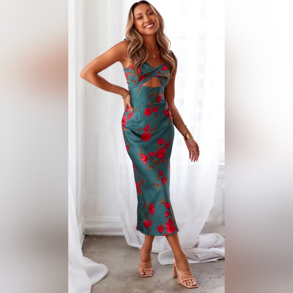 NWT Hello Molly Fool Me Once Midi Floral Dress Size 2